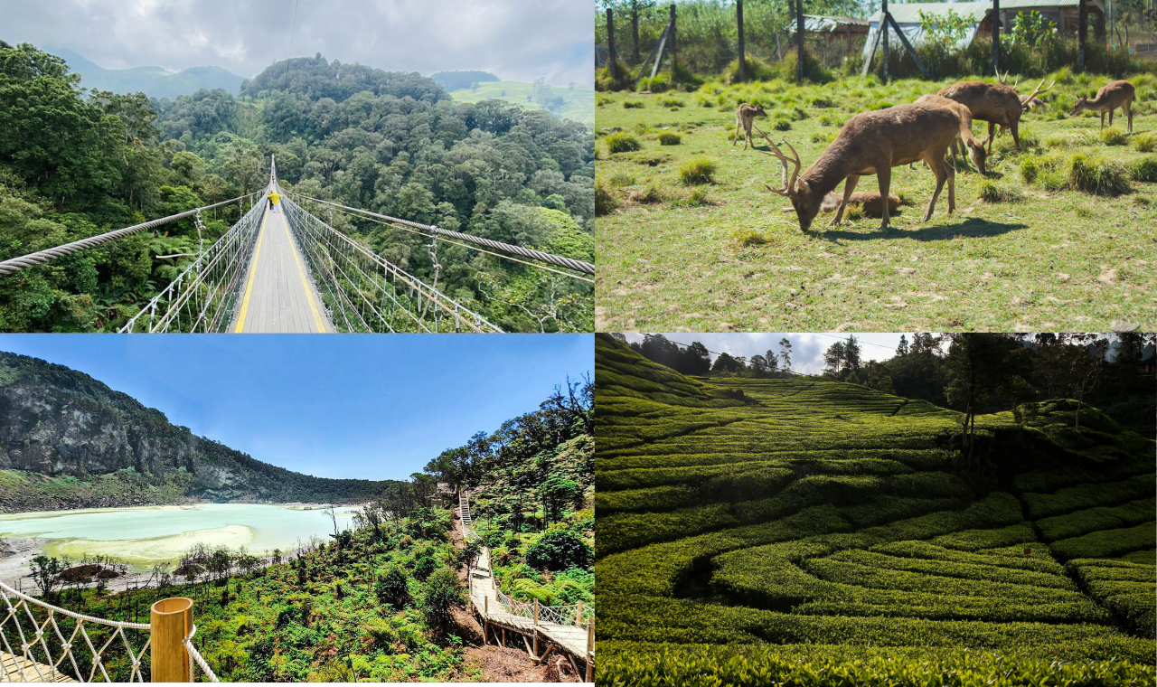 Ciwidey Volcanic & Highland Private Day Tour